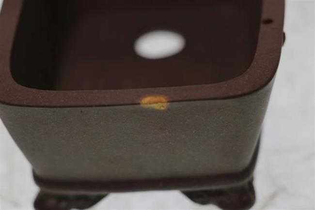 6010b5a2a92dbcf5c2e6db50bac5df88.png 6010b5a2a92dbcf5c2e6db50bac5df88.png